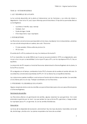TEMA-14.pdf