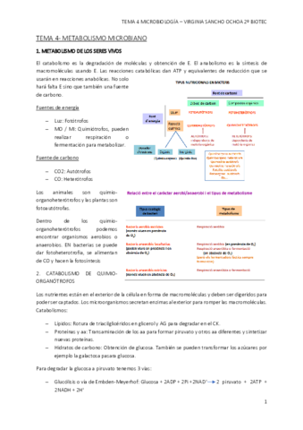 TEMA-4.pdf