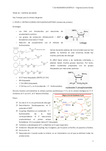 TEMA-10.pdf