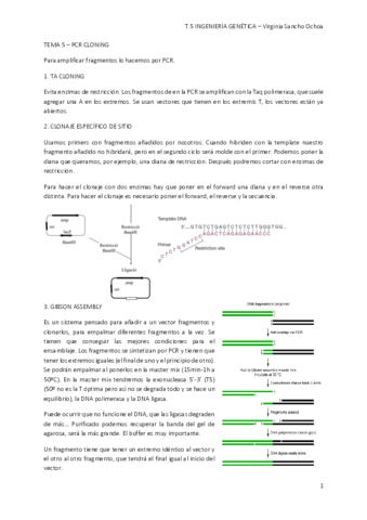 TEMA-5.pdf