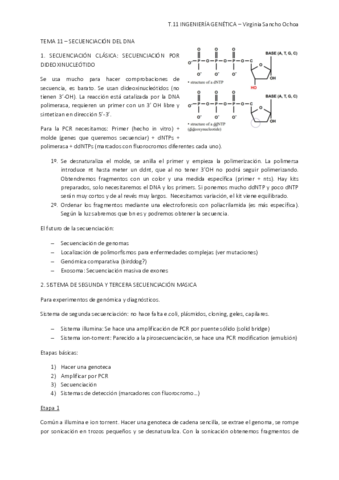 TEMA-11.pdf