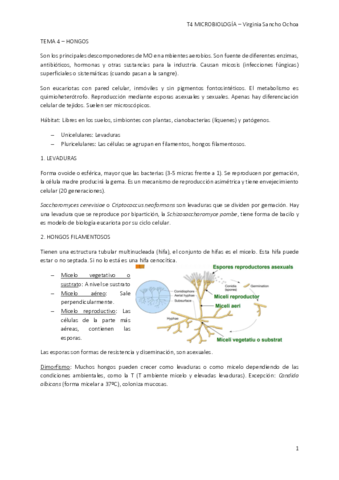 TEMA-4.pdf