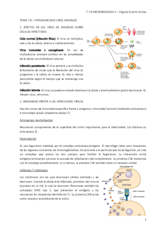 tema-2.pdf