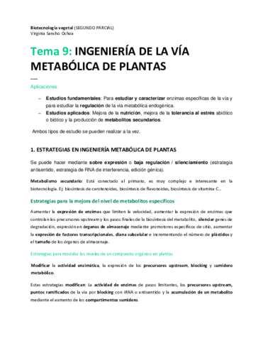 TEMA-9.pdf