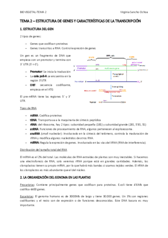 TEMA-2.pdf