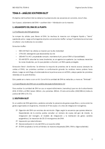 TEMA-6.pdf