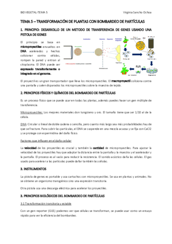 TEMA-5.pdf