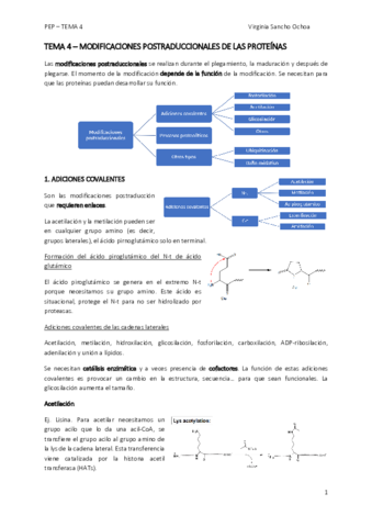 tema4.pdf