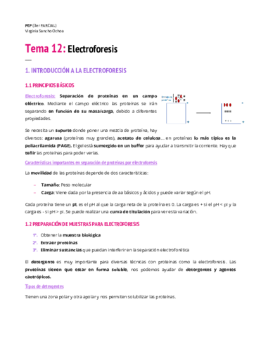 TEMA-12.pdf