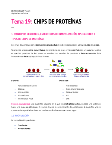 TEMA-19.pdf