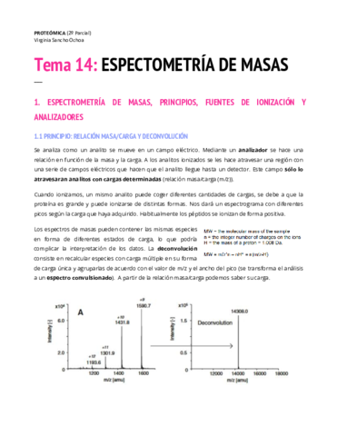 TEMA-14.pdf