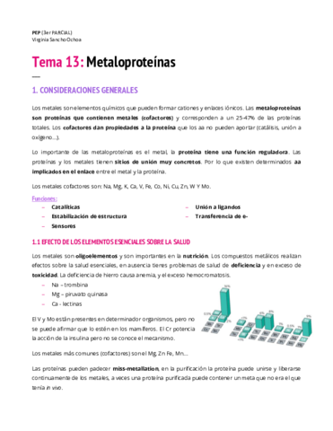 TEMA-13.pdf