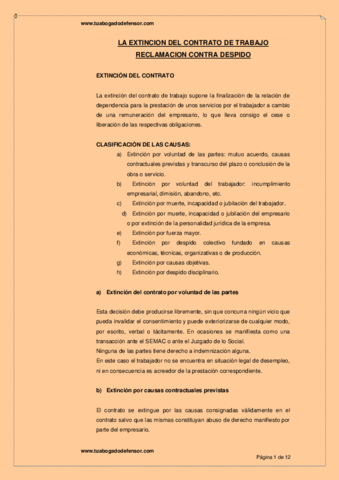 EXTINCION DESPIDO.pdf