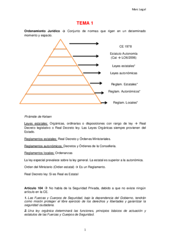 docsity-marc-legal-de-investigacion-privada-2017-2018.pdf