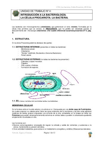 UT04Las-bacteriasCelula-Procariotav09.pdf
