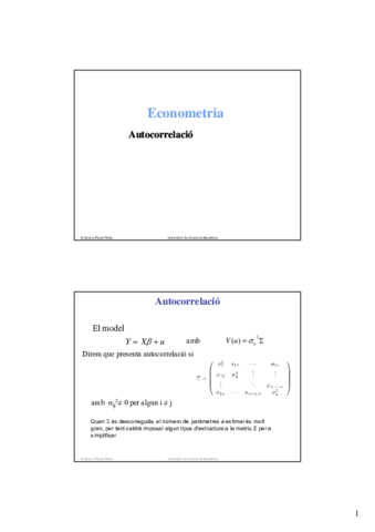 Econometrics-.pdf