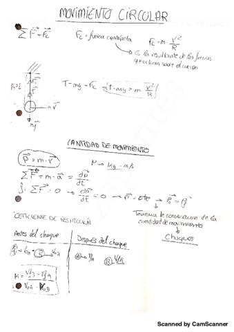 movimiento-circular-y-cantidad-de-movimiento.pdf