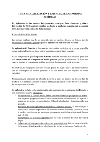 Tema-3-La-aplicacion-y-eficacia-de-las-normas-juridicas.pdf