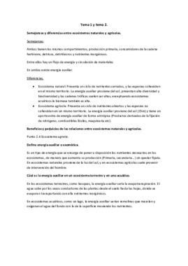 Tema 1 y tema 2.pdf