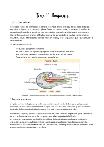 Tema-16.pdf