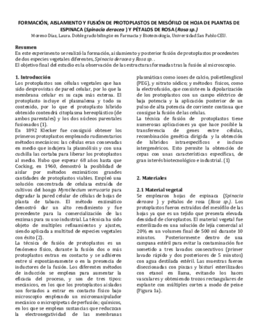 Bloque-Vegetal.pdf