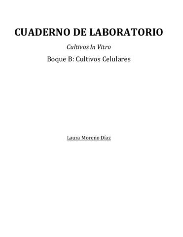Cuaderno-lab.pdf