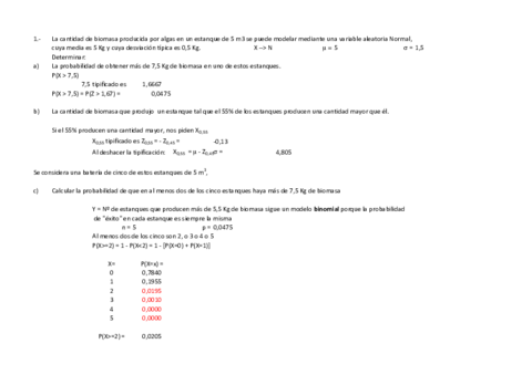 Examenresuelto.pdf