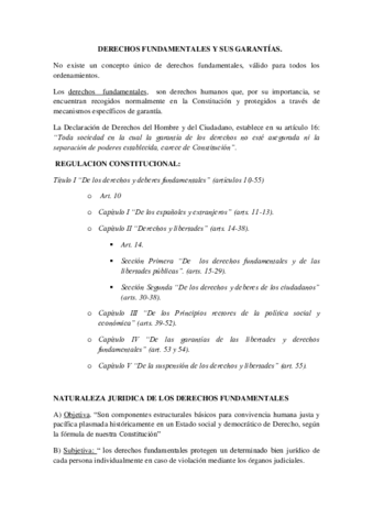 DERECHOS-FUNDAMENTALES-Y-SUS-GARANTIAS.pdf