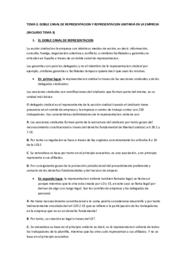 TEMA 2 Y 3.pdf