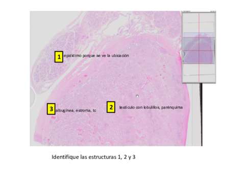 SEMINARIO-2-19-20.pdf