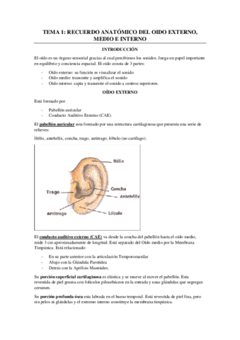 Alteraciones-de-la-audicion.pdf