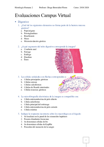 Evaluacion-1-campus-virtual-Histologia-Humana-2.pdf