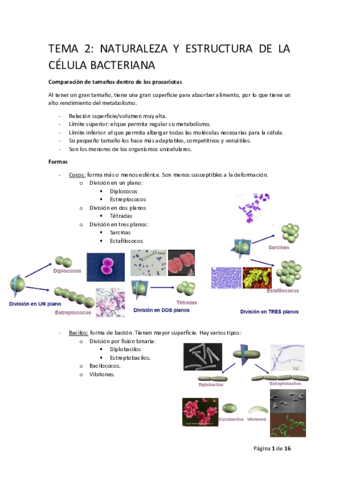 Micro-tema-2.pdf