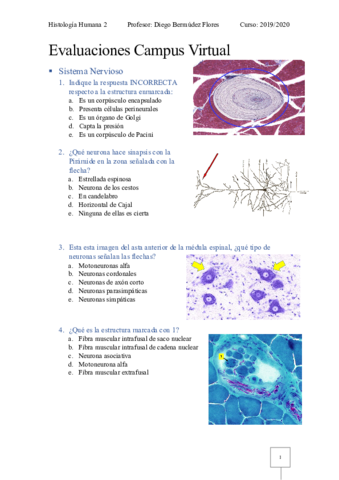 Evaluacion-SN-4-CV-Histologia-2.pdf