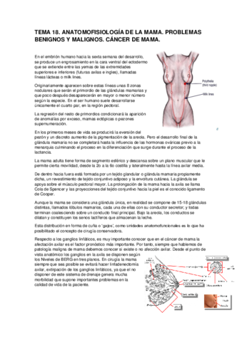 TEMA-18.pdf