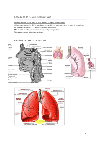 Aparell-respiratori-1-Apunts.pdf