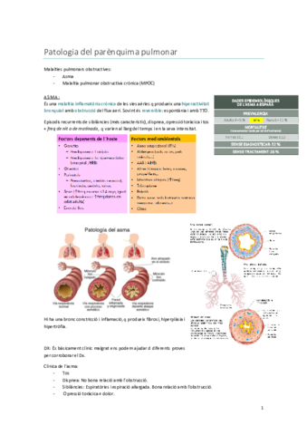 Aparell-respiratori-3-Apunts.pdf