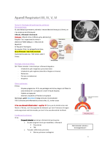 Ap-respiratori-4-temes-3-4-5-i-6-Apunts.pdf
