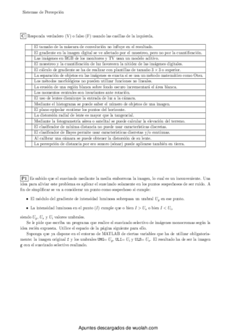 Examenejemplo2.pdf