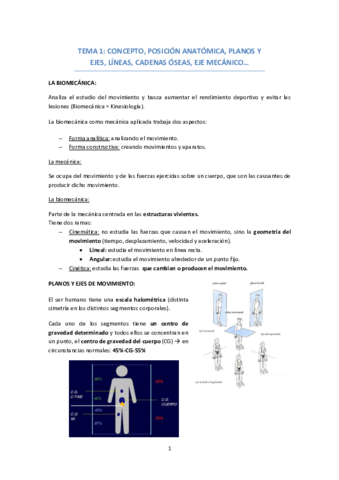 TEMA-1-CONCEPTO.pdf