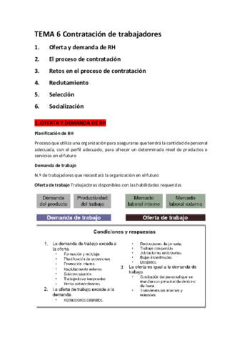 TEMA-6.pdf