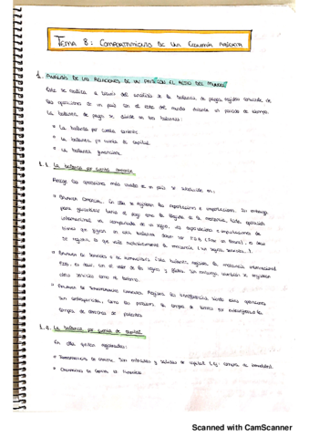Tema-8-economia-politica-.pdf