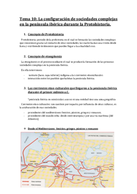 tema 10.pdf