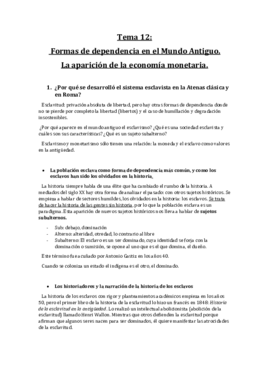 tema 12.pdf