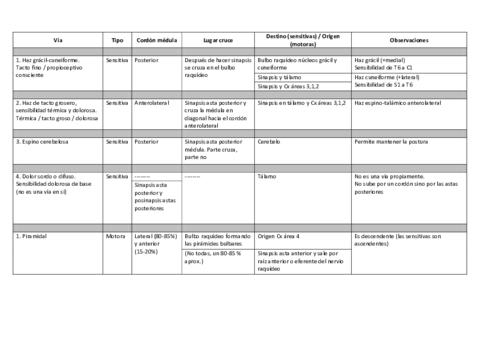 Esquema-de-los-nervios.pdf