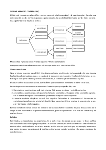 SISTEMA-NERVIOSO-CENTRAL.pdf