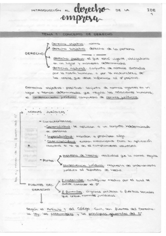 apuntes-IDE-parte-1.pdf