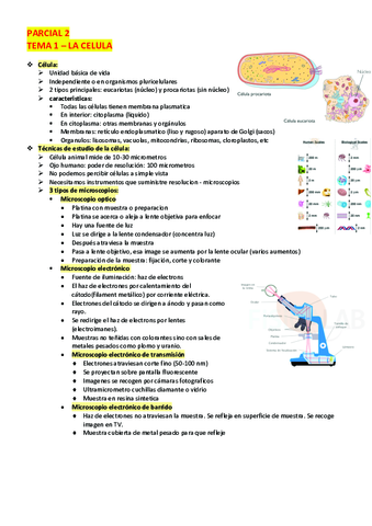 PARCIAL-2.pdf