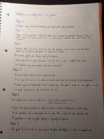 Meditations on a hobby horse