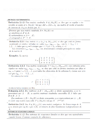 TEORIA-DE-ALGEBRA.pdf